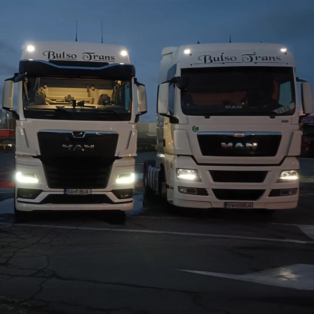 o parte din flota companiei Bulso